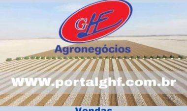 Brasil habilita 46 plantas para exportar farinhas de aves e suínos à China e fortalece economia circular no agro
