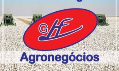 Golpe contra produtores no PR soma R$ 22 milhões e empresário é preso