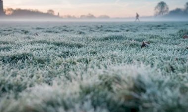 Sudoeste goiano tem madrugada de 4° C e baixa umidade
