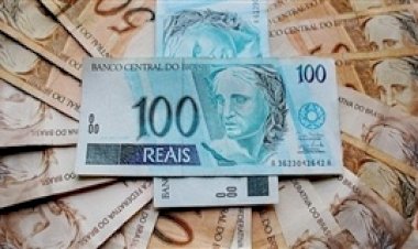 Produtores deixam milhões parados por falta de orientação