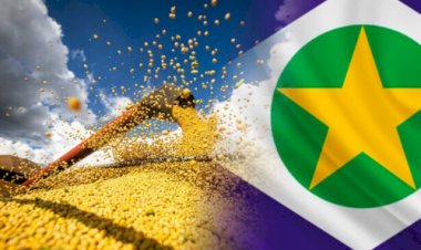 Safra de grãos 2024/25 recorde alcança 345 milhões de toneladas