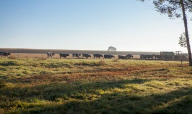 Goiás reforça seu papel estratégico na agropecuária