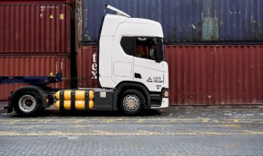 Brasil conquista abertura de mercado para exportação de ovinos vivos à Argélia