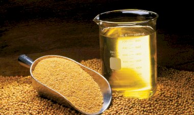 Demanda por biodiesel deve avançar 8,9% em 2025 e consumo de óleo de soja cresce 10,3%