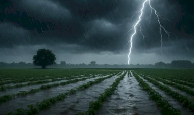 Brasil enfrenta contrastes no clima: temporais, geada e alerta de ar seco