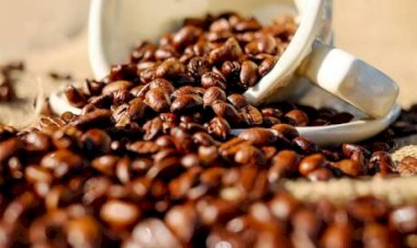Faturamento dos cafés do Brasil deve alcançar R$ 119 bilhões em 2025, quase três vezes mais que há uma década