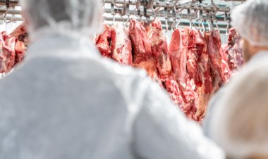 MT registra recorde nas exportações de carne bovina