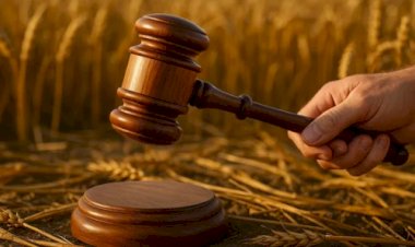 Brasil tem recorde de empresas em recuperação judicial; agro é o mais afetado
