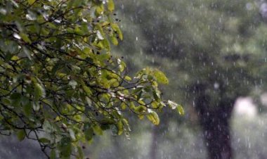 Frente fria avança pelo Brasil e provoca geada, temporais e ventos de até 70 km/h