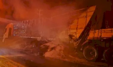 Raio mata dez bois no Amazonas e incêndio destrói carga de soja em Mato Grosso