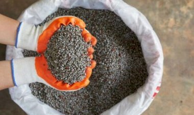 Brasil importa fertilizantes recorde, mas enfrenta desafios