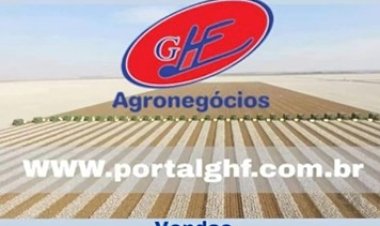 Projeto de algodão orgânico com irrigação avança