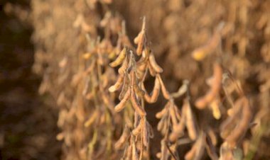 O que o agro pode esperar do clima em outubro?
