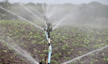 Irrigantes de MT temem inviabilidade de safras após mudanças em descontos de energia