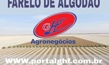 Exportações e dólar podem aliviar pressão no algodão