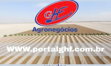 Algodão e a paridade de exportação entenda o cenário
