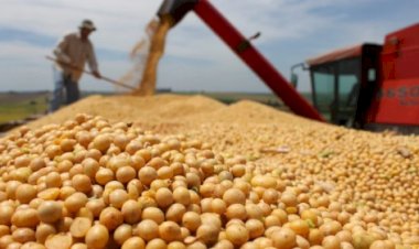 Soja brasileira deve atingir produção recorde
