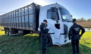 Crimes no agro: operações em MT e PR miram desvio milionário de grãos e furtos de gado