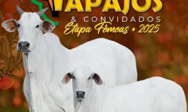 7º LEILÃO FAZENDA TAPAJÓS & CONVIDADOS - ETAPA FÊMEAS