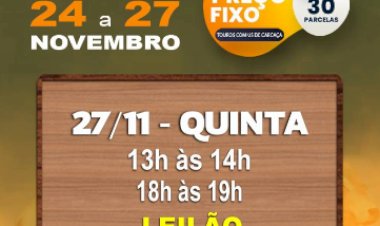 LEILÃO GRANDES MARCAS TOUROS GRUPO MAZIEIRO