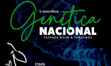 2º LEILÃO VIRTUAL GENÉTICA NACIONAL - FAZENDA NOVA & PARCEIROS - ETAPA TABAPUÃ