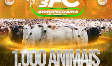 2º LEILÃO VIRTUAL 3AC AGROPECUÁRIA