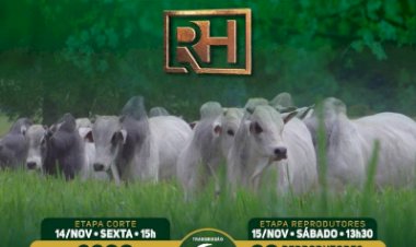 LEILÃO PRIMAVERA FAZENDA MODELO - GUTO GRASSANO - ETAPA CORTE