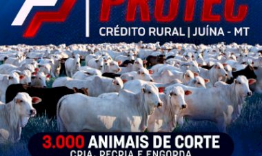 1º LEILÃO VIRTUAL PARCEIROS PROTEC