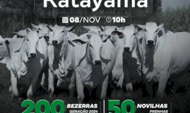 LEILÃO VIRTUAL GENÉTICA KATAYAMA