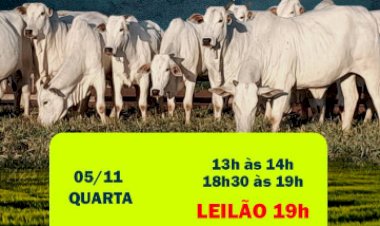 DE OLHO NA FAZENDA PECUÁRIA BR