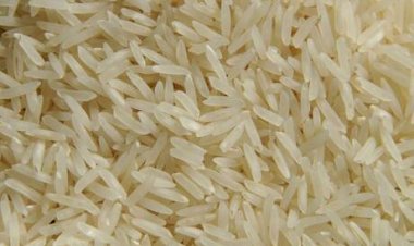 Exportações de arroz mantém estabilidade