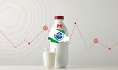 Conseleite/PR projeta valor de referência do leite a ser pago em novembro/25