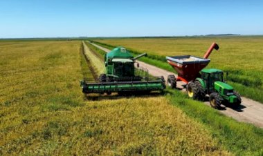 Fundo do Agro: Rio Grande do Sul pode criar modelo inédito de crédito e seguro rural