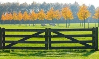 Senado aprova projeto que simplifica regularização de terras públicas em faixa de fronteira