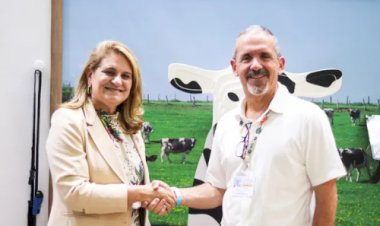 Nestlé e Embrapa firmam parceria para acelerar agricultura regenerativa no Brasil