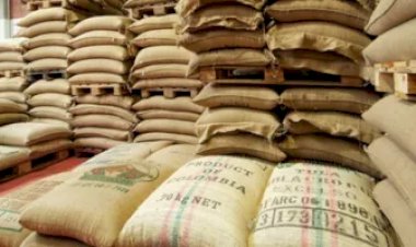 Nova safra, problema antigo: gargalos nos portos elevam prejuízo de exportadores de café