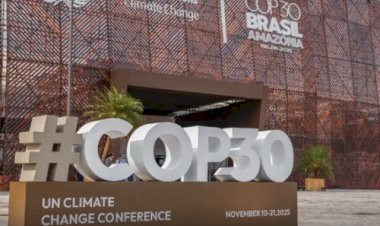 Manifestantes invadem área da COP30, ferem seguranças e bloqueiam saída na Zona Azul