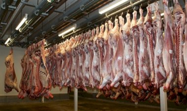 Preços reagem no BR; exportações seguem intensas