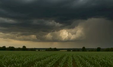 Previsão do tempo: sexta terá calor intenso, baixa umidade e chuva forte na Bahia