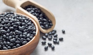 Preços do feijão apresentam movimentos distintos