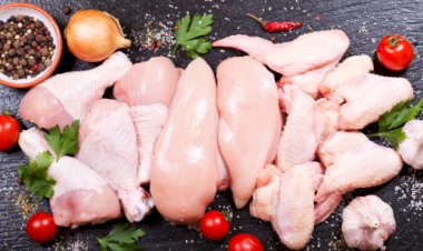 Produção de frango pode bater recorde com 15,86 milhões de toneladas