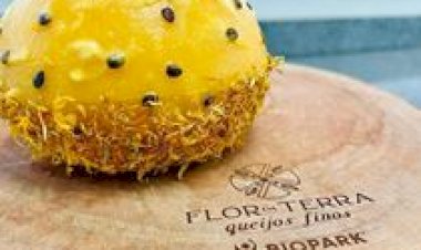 PR: projeto destaca pequenos produtores e transforma a cadeia leiteira