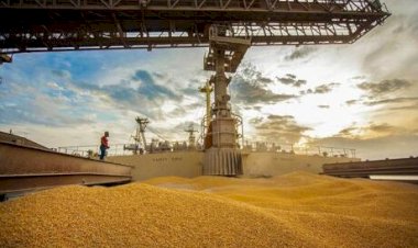 Adidos agrícolas ampliam exportações do agro brasileiro