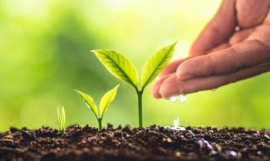 Brasil e Coreia do Sul firmam parceria para inovação em defensivos