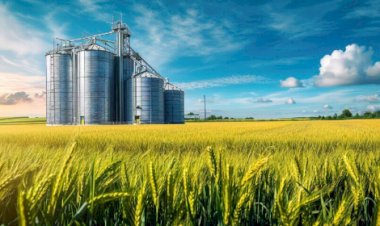 Produção agroindustrial volta a crescer após três meses de retração