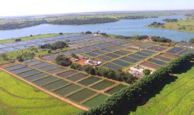 Depois de um ano cheio de entraves, produtor aposta em expansão e inicia uma nova fase na criação de tilápia