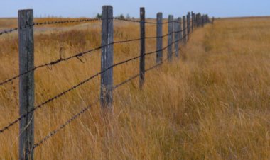 Regularização fundiária e proteção ambiental: Uma conciliação técnica e jurídica necessária