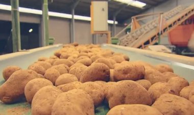 McCain vai investir R$ 1,8 bilhão para ampliar fábrica em Minas Gerais