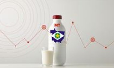 Conseleite/MT divulga valor de referência do leite a ser pago em dezembro/25