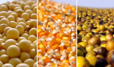 Cotações Agropecuárias